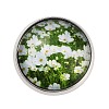 Round Glass Brooches JEWB-A022-02D-1