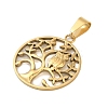 Ion Plating(IP) 304 Stainless Steel Pendants STAS-C103-37G-2