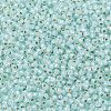 TOHO 11/0 Round Beads X-SEED-TR11-PF2116-2