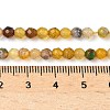 Natural Agate Beads Strands X-G-H302-A01-14-3