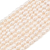 Natural Cultured Freshwater Pearl Beads Strands PEAR-F020-19-2