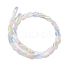 Electroplate Glass Beads Strands EGLA-P065-01A-3