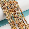 Natural Crazy Lace Agate Beads Strands G-A129-3mm-17-1