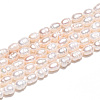 Natural Cultured Freshwater Pearl Beads Strands PEAR-N012-03O-5