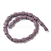 Fish Dyed Natural Lava Rock Beads Strands G-O126-01A-05-2