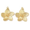 Brass Pendants X-KK-L255-04G-1
