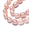 Natural Cultured Freshwater Pearl Beads Strands PEAR-N012-06H-2