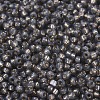 MIYUKI Round Rocailles Beads SEED-X0054-RR0650-3