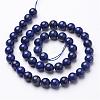 Dyed Grade A Natural Lapis Lazuli Beads Strands GSR8mmC123-4