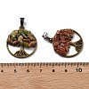 4 Sets 8 Styles Natural & Synthetic Mixed Stone Chip Pendants FIND-FH0006-04-4
