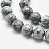 Natural Hawk's Eye Beads Strands G-O166-09-6mm-3