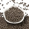 6/0 Glass Seed Beads SEED-L011-08A-09-2