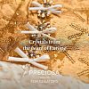 Preciosa® MAXIMA Crystal Round Stones X-PRC-RASS29-00030-200-5