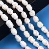 Natural Cultured Freshwater Pearl Beads Strands LS-PEAR-N012-06R-6