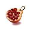Brass Acrylic Pendants OACR-R006-04G-04-2