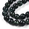 Natural Green Kyanite Beads Strands G-T140-6mm-07-4