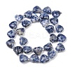Natural Blue Spot Jasper Beads Strands G-NH0069-A08-3