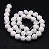 Natural Howlite Beads Strands TURQ-G090-10mm-2