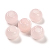 Natural & Synthetic Mixed Stone European Beads G-R488-01-2