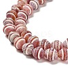 Dyed Natural Weathered Agate Beads Strands G-G203-04-4