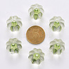 Transparent Acrylic Beads TACR-S154-19A-83-3