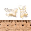 Natural White Shell Beads BSHE-Z008-02-4