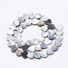 Natural Black Lip Shell Beads Strands SSHEL-Q298-11-2