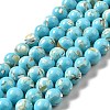 Synthetic Turquoise and Sea Shell Assembled Beads Strands G-D482-01A-07-2