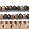 Natural Alashan Agate Bead Strands G-D344-A16-6