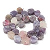 Natural Plum Blossom Tourmaline Beads Strands G-I394-D18-3