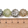 Painted Glass Beads Strands GLAA-B037-12A-12A-4