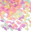 Luminous Transparent Acrylic Beads LACR-Q001-02-2