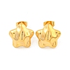 Star 304 Stainless Steel Ear Studs EJEW-L290-024G-1