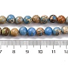 Dyed Natural Regalite/Imperial Jasper/Sea Sediment Jasper Beads Strands G-B124-C02-15-3
