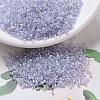 MIYUKI Delica Beads SEED-J020-DB0241-1