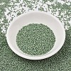 MIYUKI Delica Beads X-SEED-J020-DB2310-2