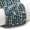 Natural Apatite Beads Strands G-K185-02-3mm-01-1