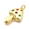 Brass Micro Pave Cubic Zirconia Pendants X-KK-F896-03G-2