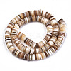 Natural Freshwater Shell Beads Strands X-SHEL-N003A-02-3