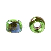 TOHO Round Seed Beads SEED-JPTR15-0247-3