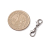 Zinc Alloy Lobster Claw Clasps PALLOY-JF04249-03-2