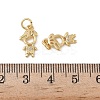Brass Micro Pave Cubic Zirconia Pendants KK-L243-12G-02-3