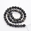 Faceted Round Natural Larvikite Beads Strands G-E302-083-8mm-2