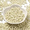 Baking Paint Glass Seed Beads SEED-K009-01A-22-2