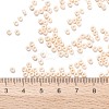 MIYUKI Round Rocailles Beads X-SEED-G008-RR2022-2
