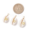 Copper Wire Wrapped Natural Cowrie Shell Pendants PALLOY-JF03554-05-2