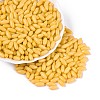 Opaque Colours Glass Seed Beads SEED-T007-16B-3