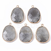 Natural Labradorite Pendants G-T131-08D-1