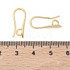 SHEGRACE Brass Earring Hooks XGR0003G-42G-3