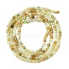 Natural Green Garnet Beads Strands G-A235-A02-02A-5